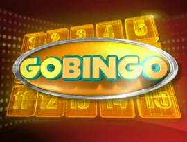 Craig Shawn Williamson's GoBingo